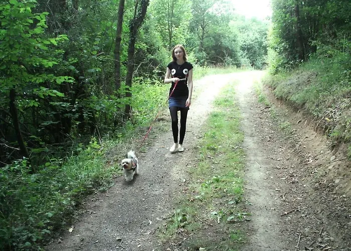 Ferienhaus Close-up View Inside The Vorbek House *